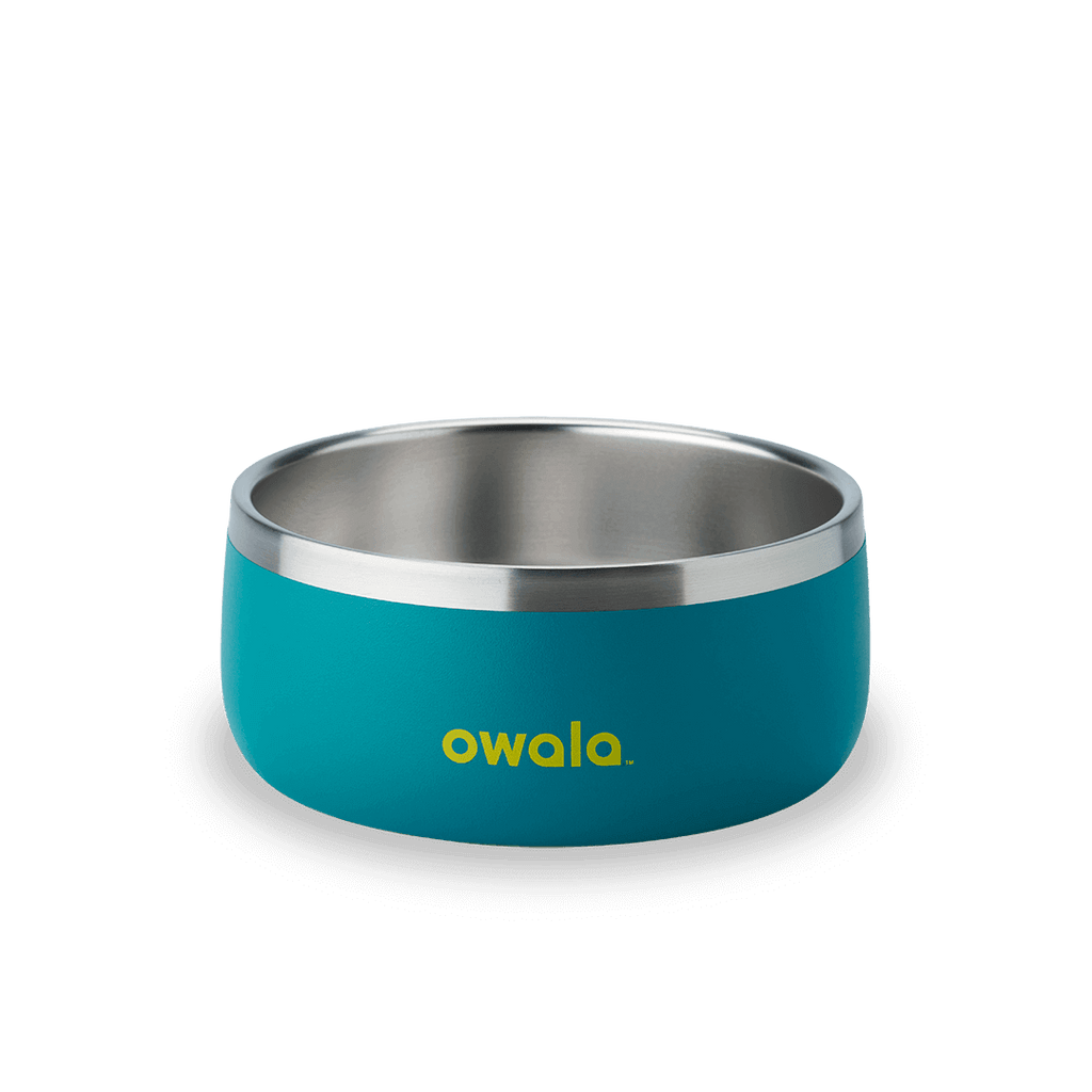 Pet Bowl